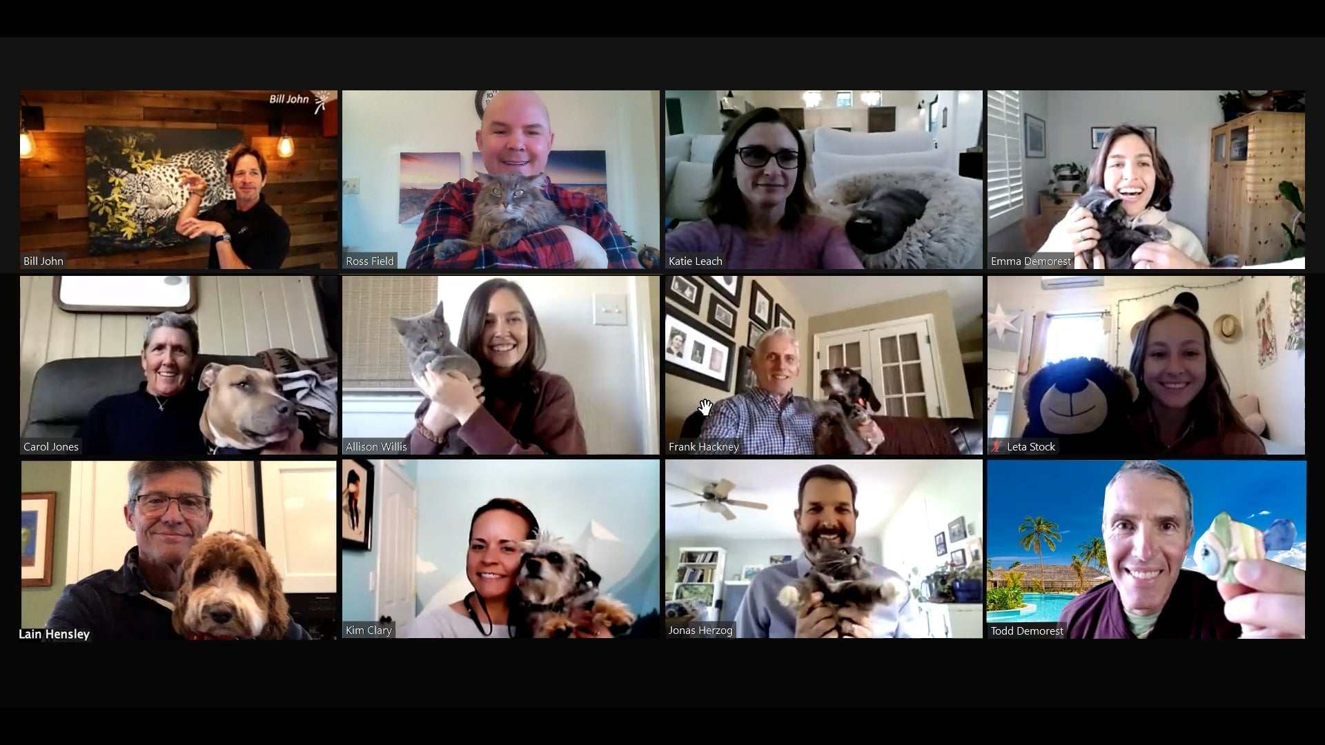 Cat appearing on a virtual meeting screen as a welcome pet distraction