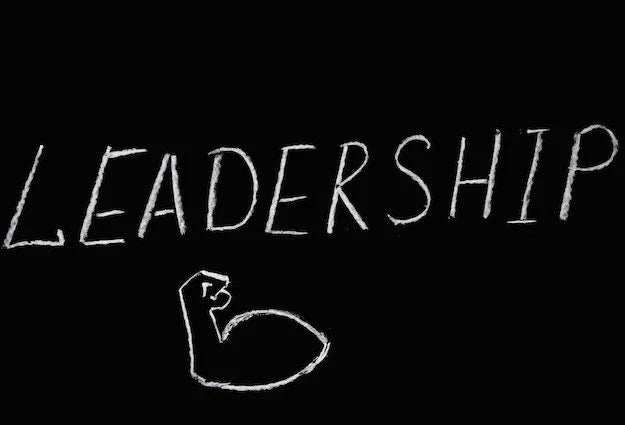Diverse group of professionals collaborating in a modern office symbolizing leadership essentials and team development