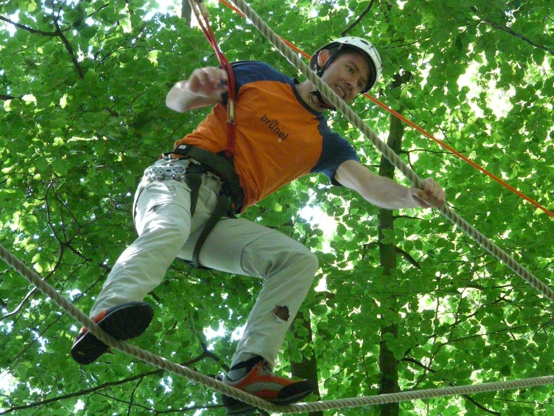 Group enjoying a corporate team building ropes course outdoors