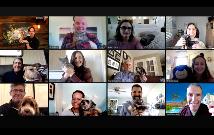 Pets on Virtual Business Meetings